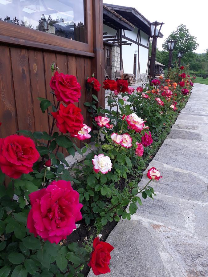 Hotel Complex Barite Chernevo Exteriér fotografie